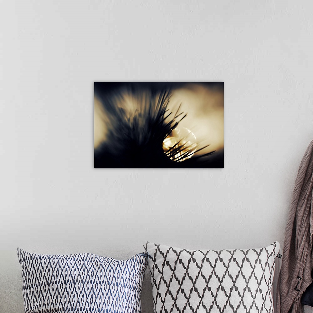 A bohemian room featuring Artistic photograph of silhouetted pine needles of a tree against a background of the setting sun.
