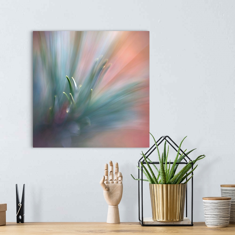 A bohemian room featuring Fine art photo with selective focus of sharp pine needles.