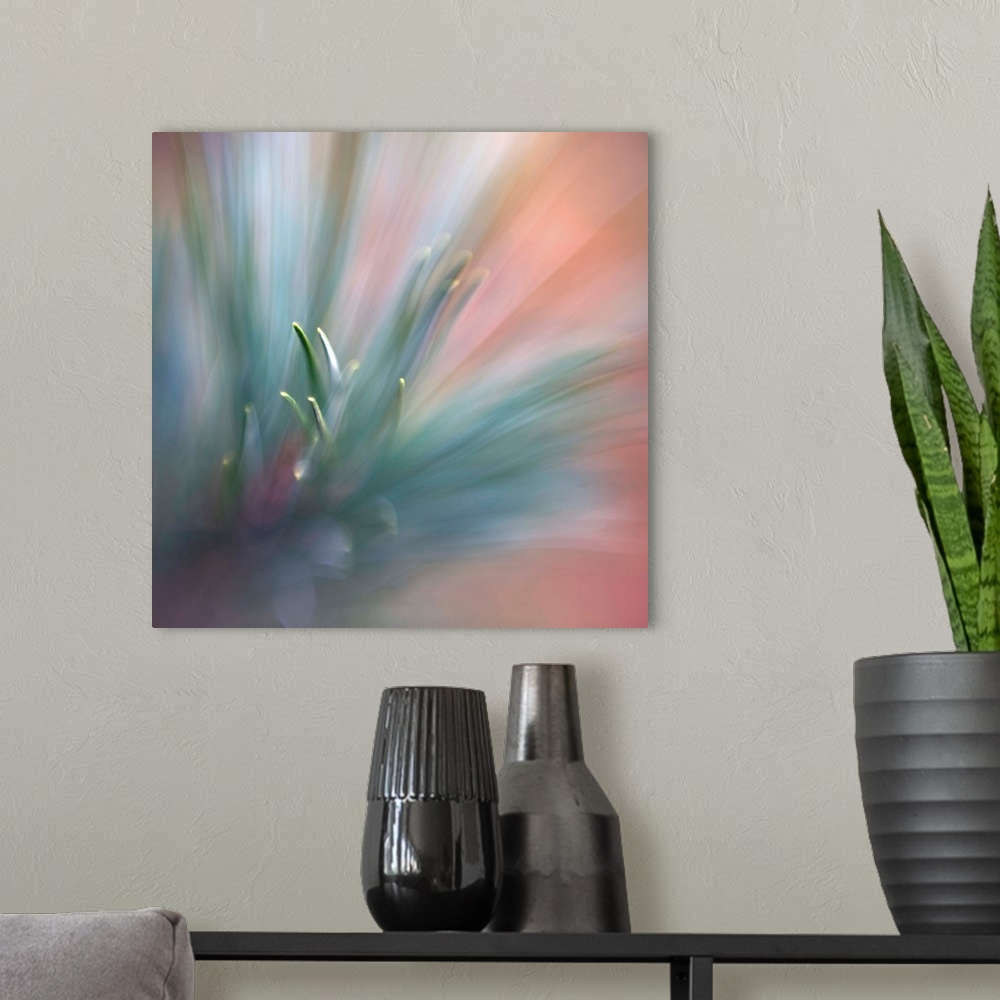 A modern room featuring Fine art photo with selective focus of sharp pine needles.