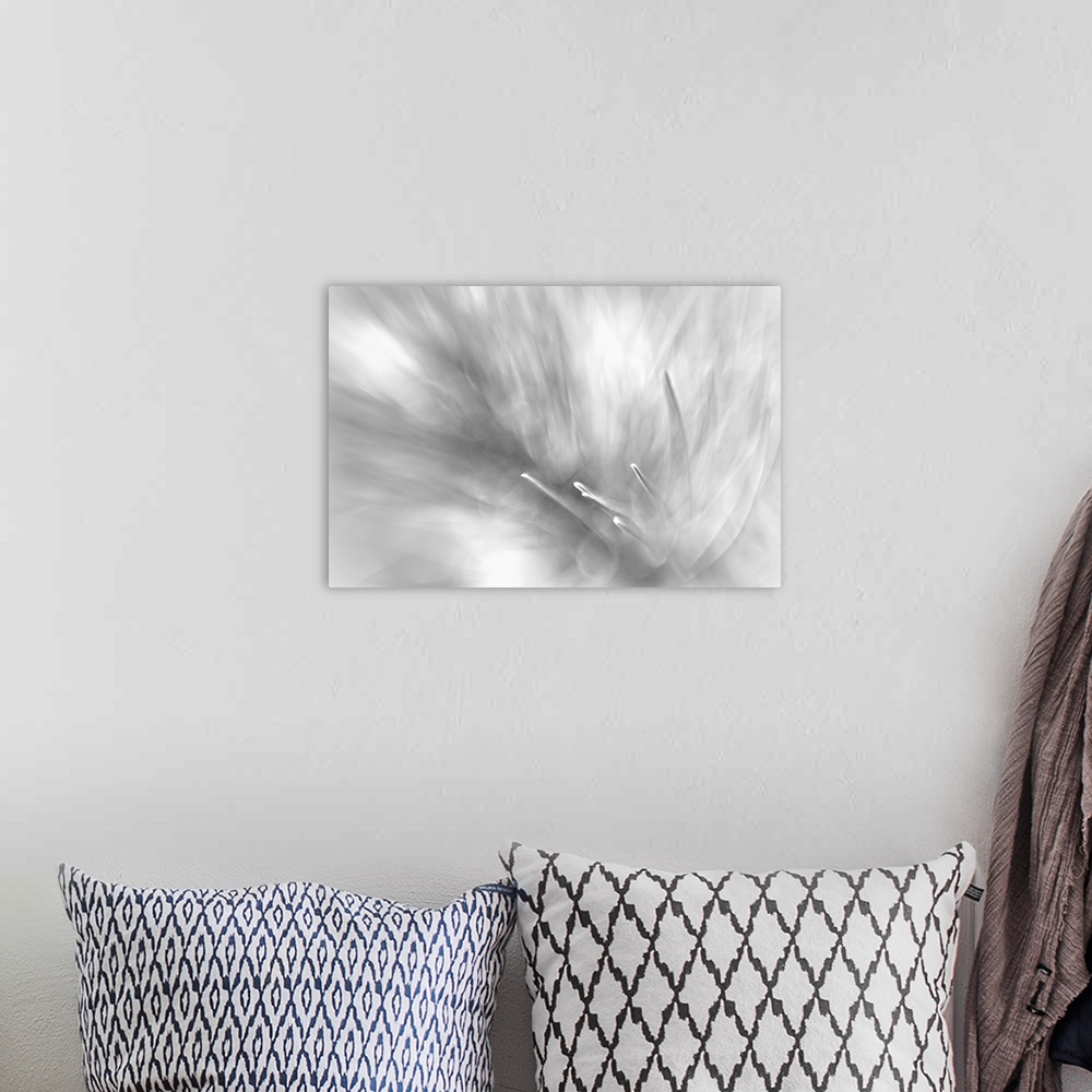 A bohemian room featuring Fine art photo with selective focus of sharp pine needles in black and white.