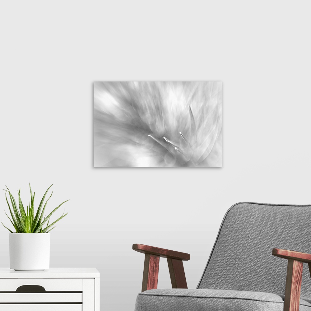 A modern room featuring Fine art photo with selective focus of sharp pine needles in black and white.
