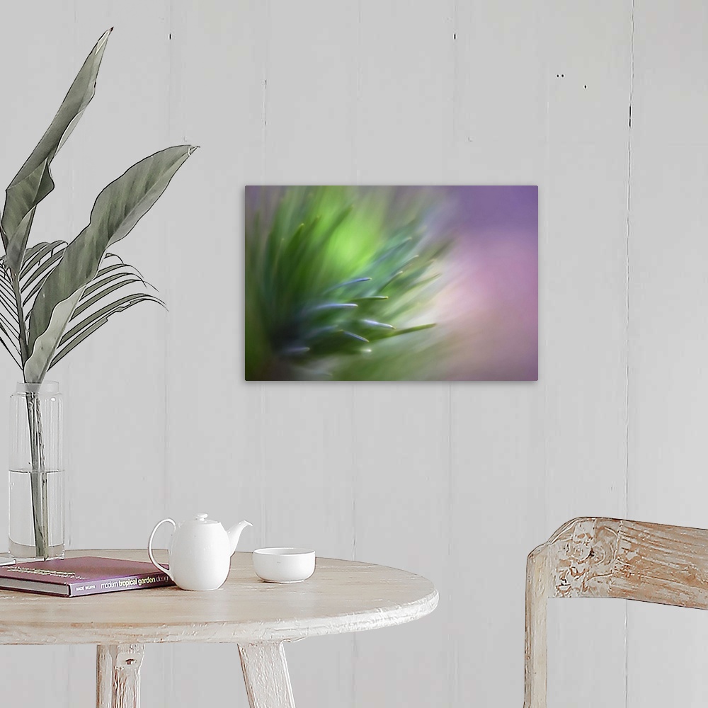 A farmhouse room featuring Pastel macro image of pine needles.