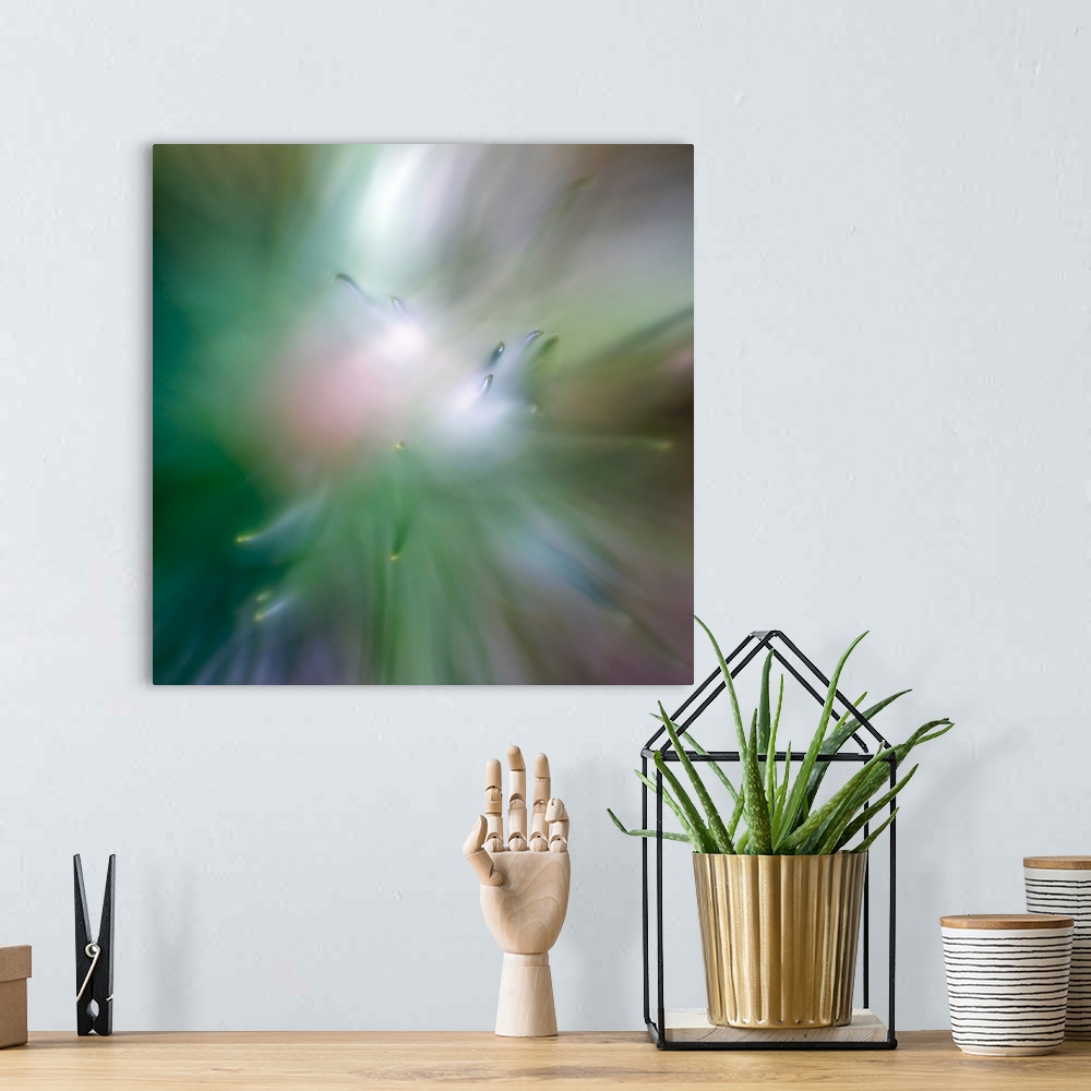 A bohemian room featuring Pastel macro image of pine needles.