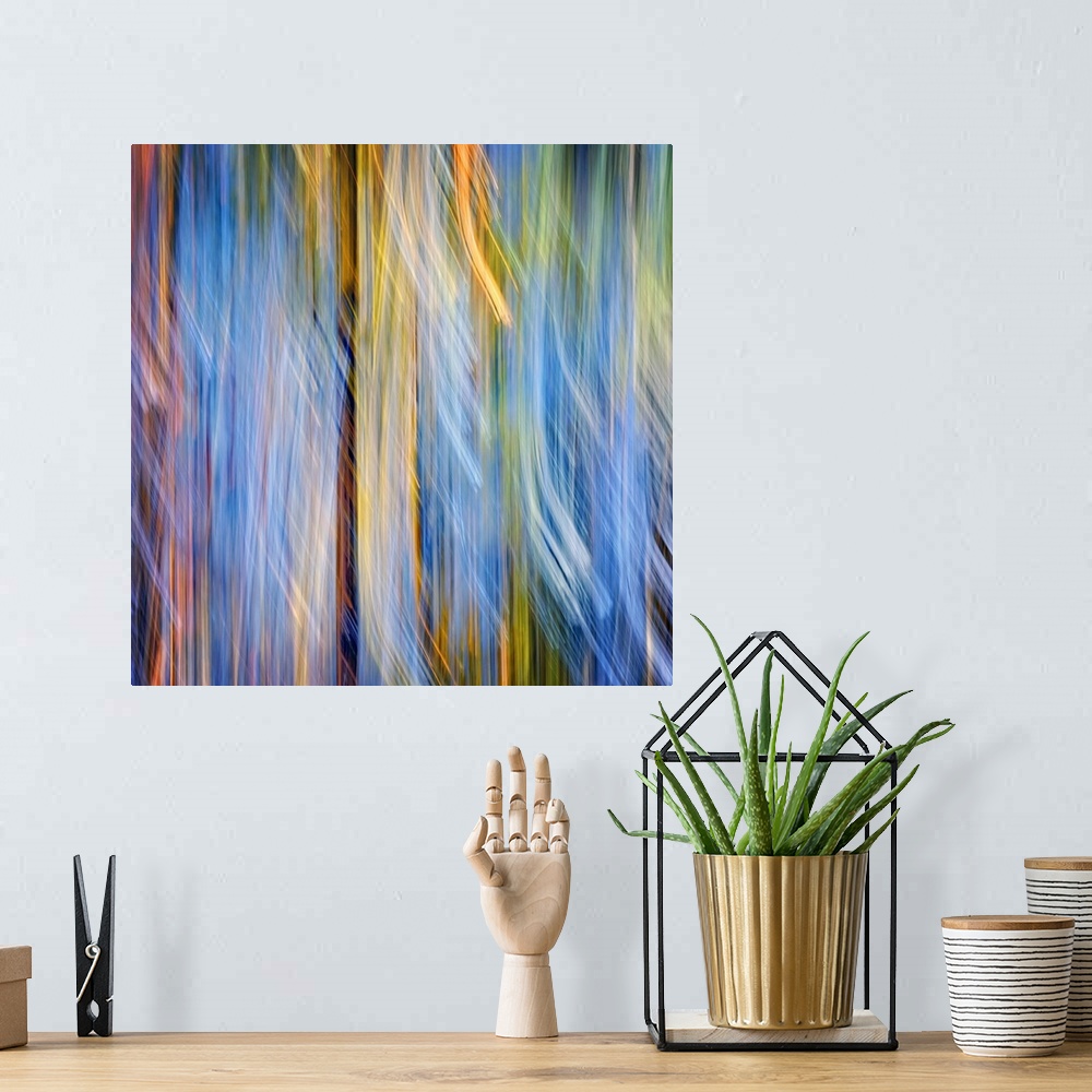 A bohemian room featuring Abstract blurred motion image in yellow and blue of a forest of pine trees.