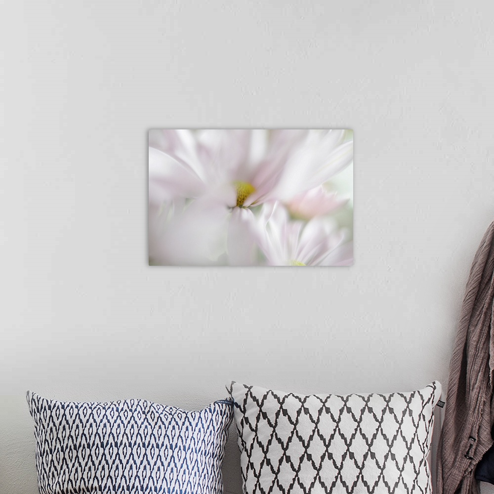 A bohemian room featuring A soft image with shallow depth of field of blooming pink flowers.