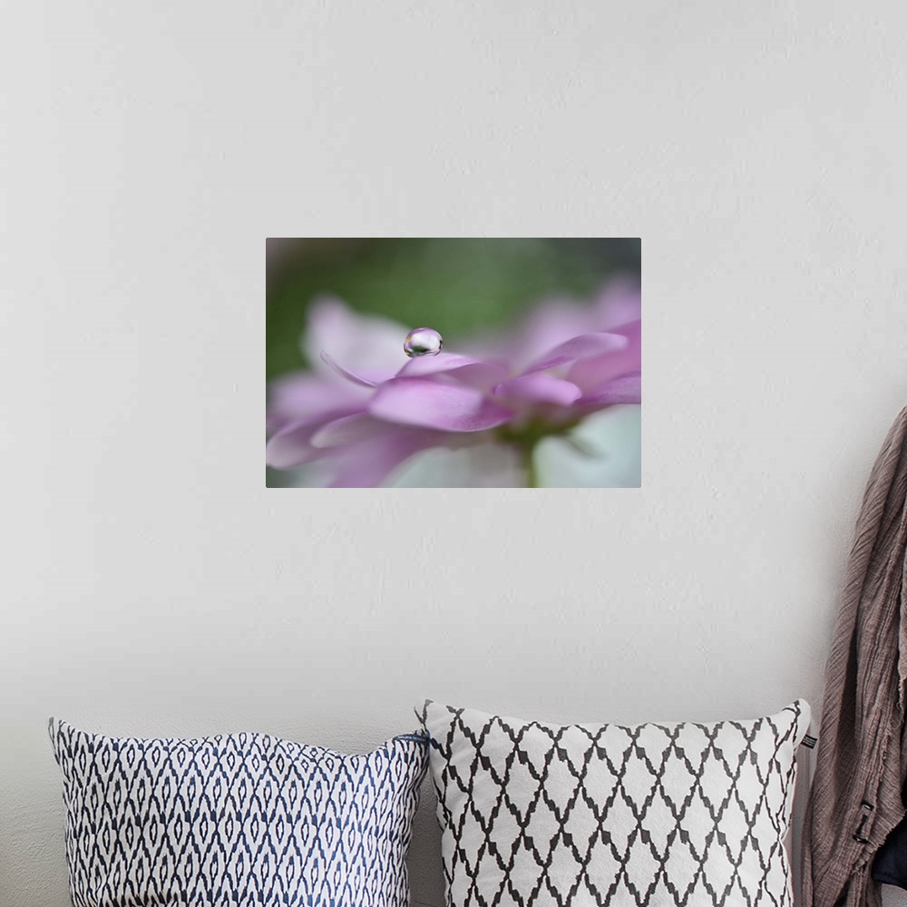 A bohemian room featuring A photograph of a water droplet sitting on the edge of a pink flower petal.