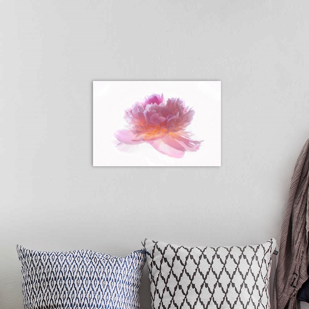 A bohemian room featuring Peony head on white background