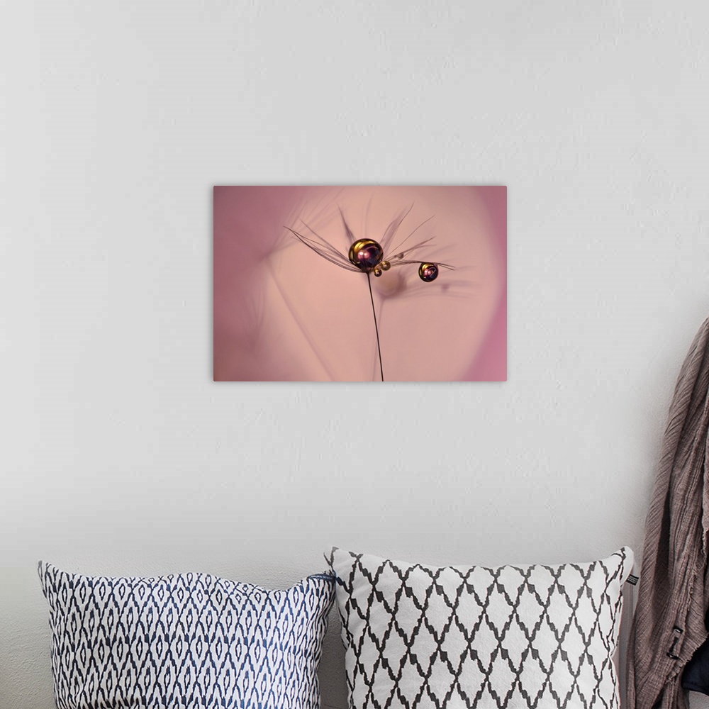 A bohemian room featuring A photograph of a water droplet on the end of a thin stem.