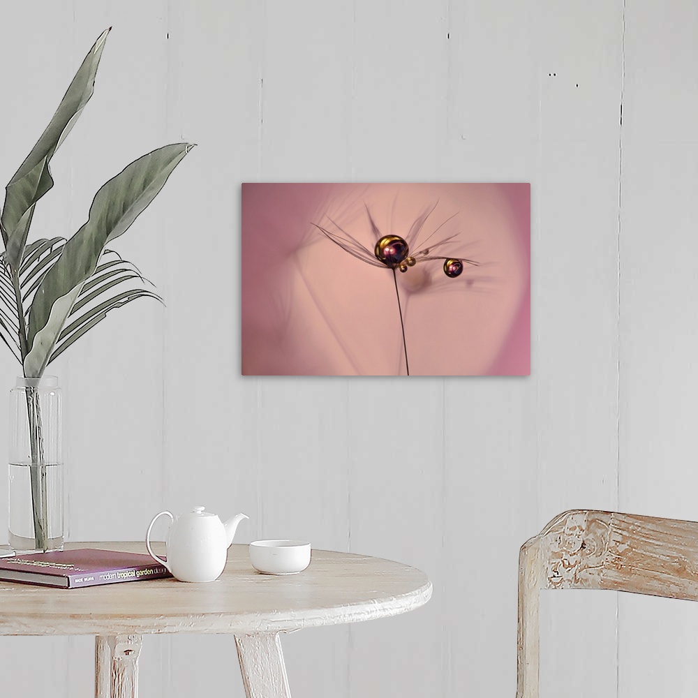 A farmhouse room featuring A photograph of a water droplet on the end of a thin stem.