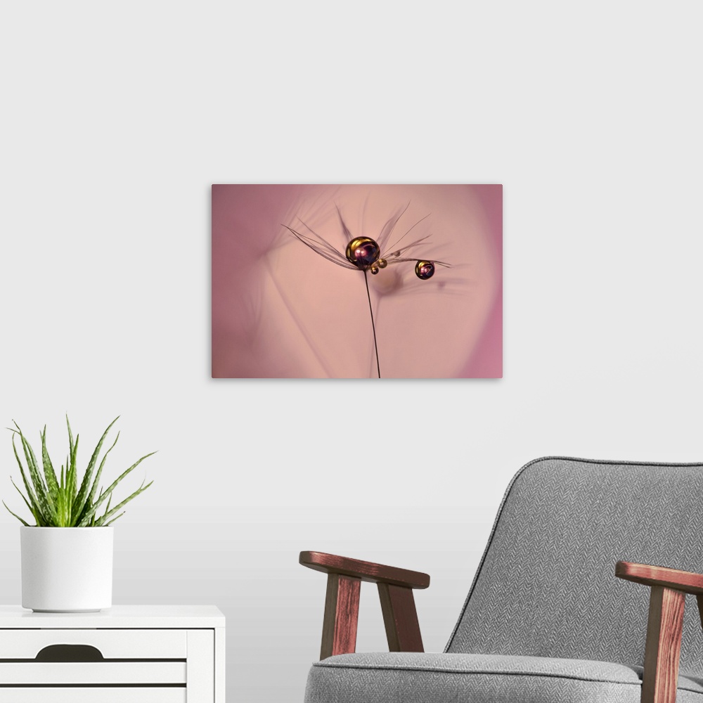 A modern room featuring A photograph of a water droplet on the end of a thin stem.