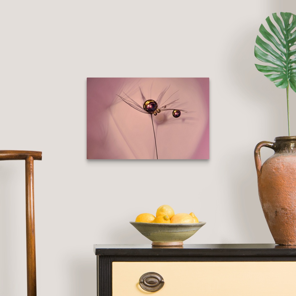 A traditional room featuring A photograph of a water droplet on the end of a thin stem.