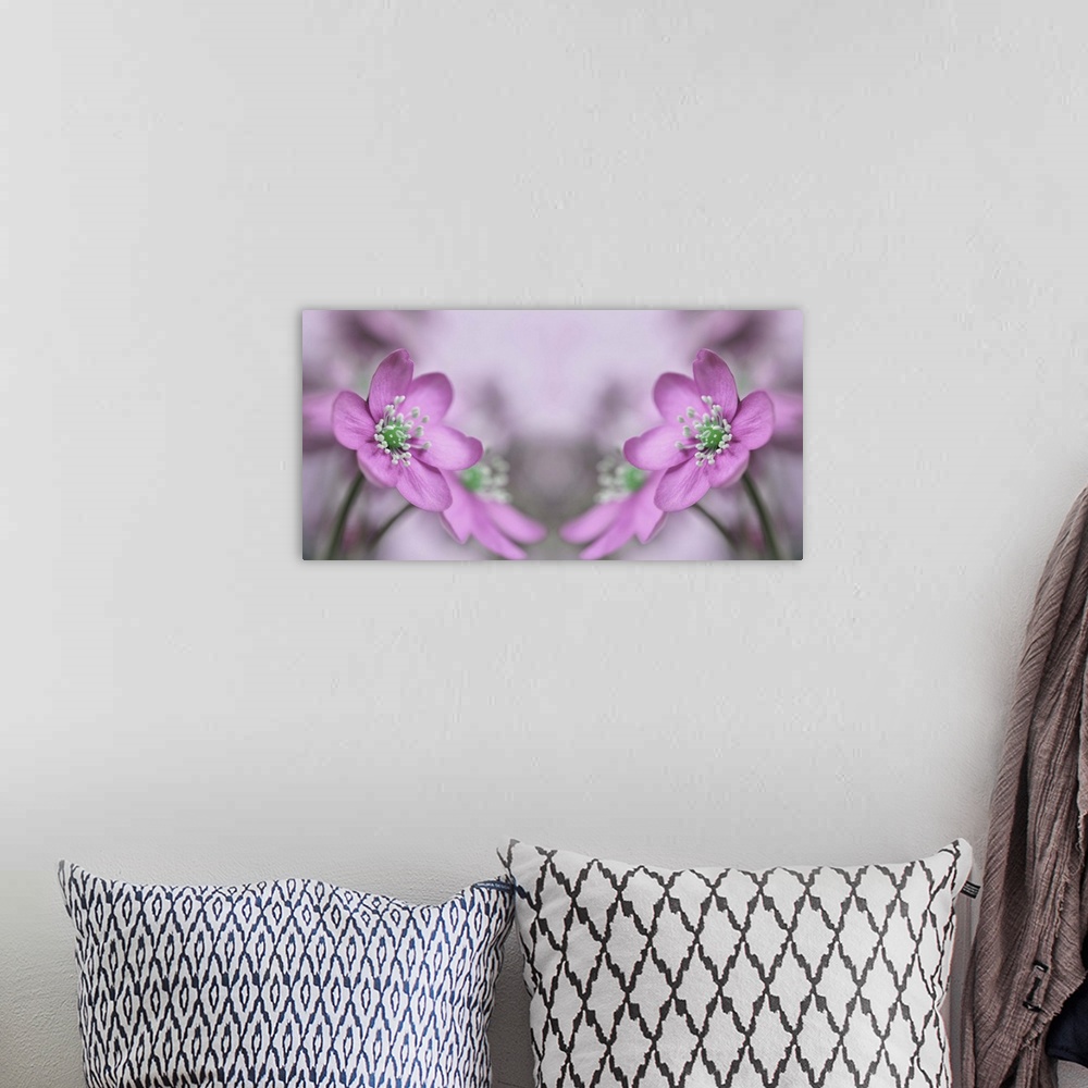 A bohemian room featuring A macro photograph of a pink flower reflecting itself.