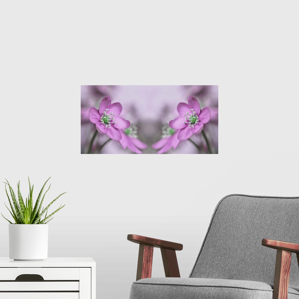 A modern room featuring A macro photograph of a pink flower reflecting itself.