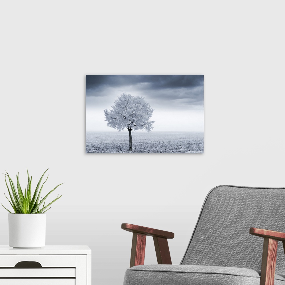 A modern room featuring Photograph of a single tree in a frozen field.