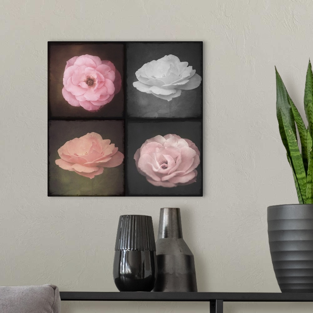 A modern room featuring Photo Montage of four roses close up
