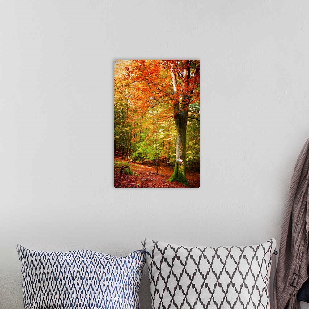 A bohemian room featuring A photograph of a forest with turning autumn foliage.