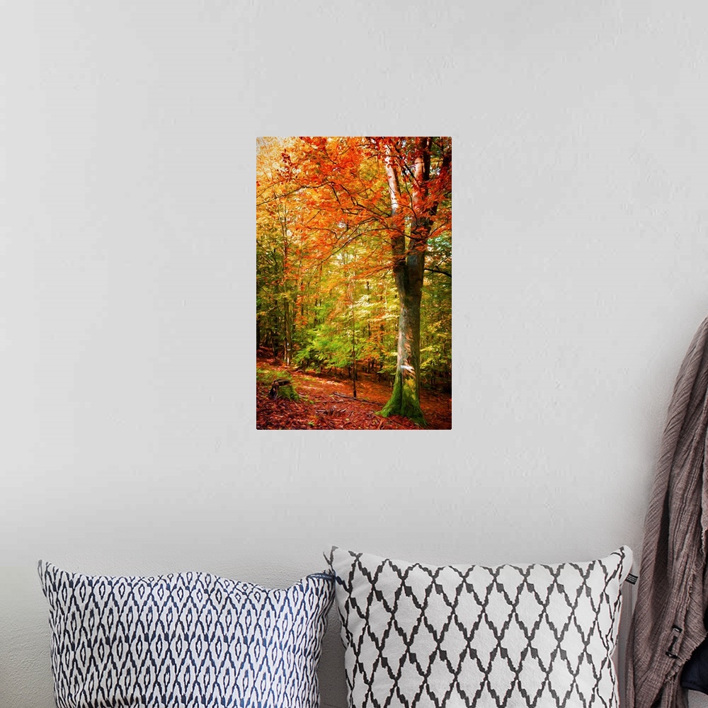 A bohemian room featuring A photograph of a forest with turning autumn foliage.
