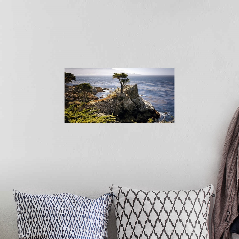 A bohemian room featuring Lone Cypress tree, Pacific Coastline at Pebble Beach, Monterey Peninsula, California.