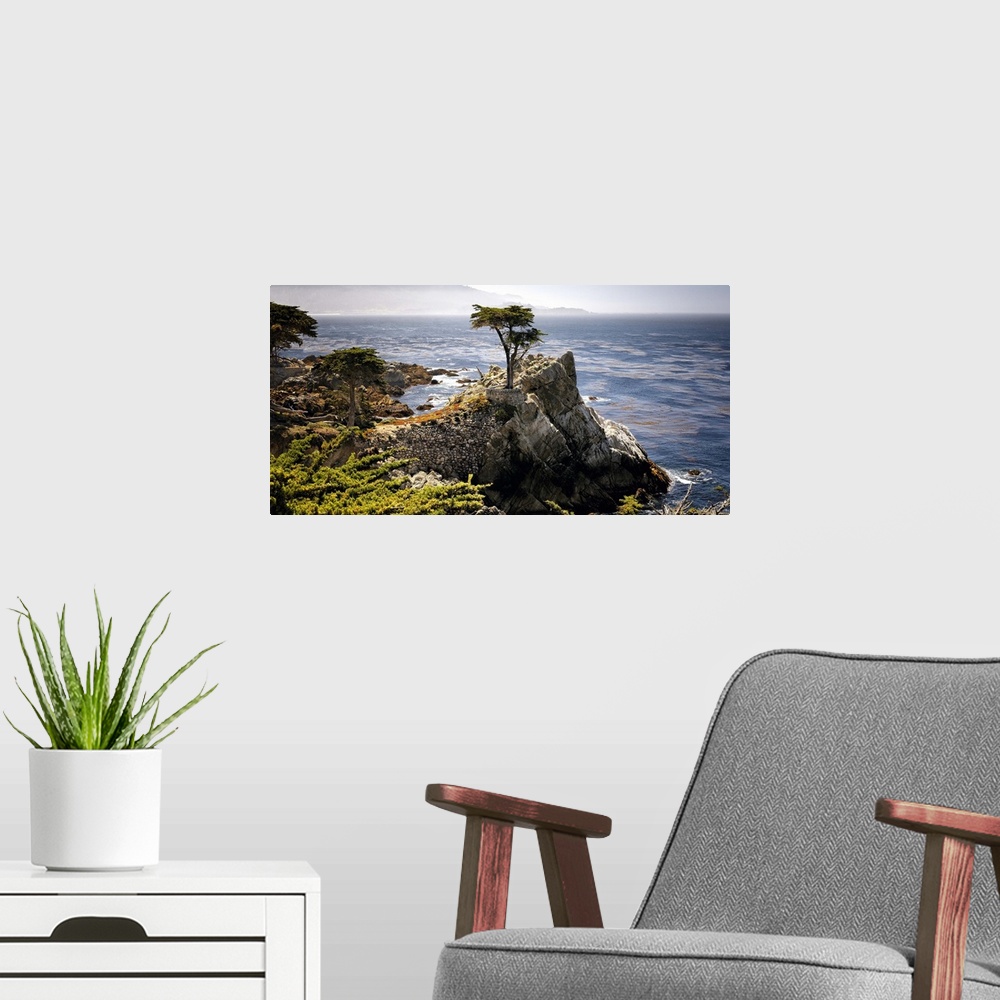 A modern room featuring Lone Cypress tree, Pacific Coastline at Pebble Beach, Monterey Peninsula, California.