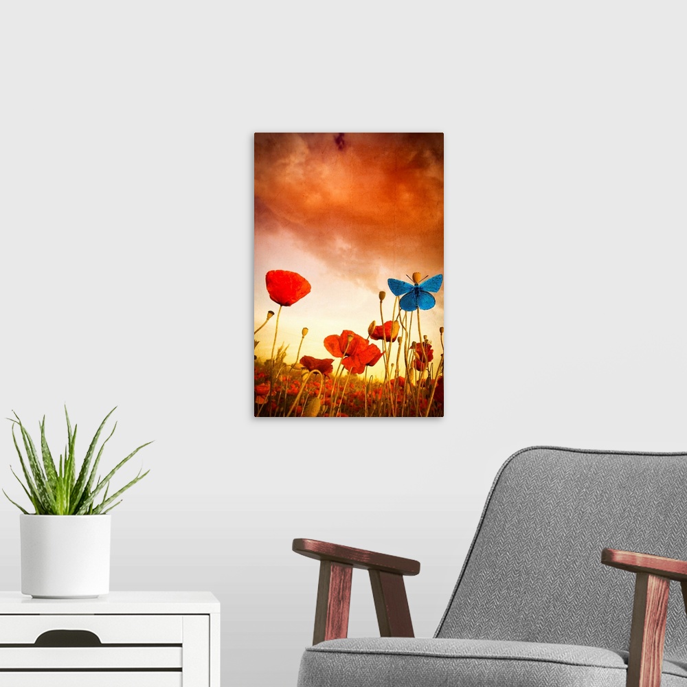 A modern room featuring Poppies Dream