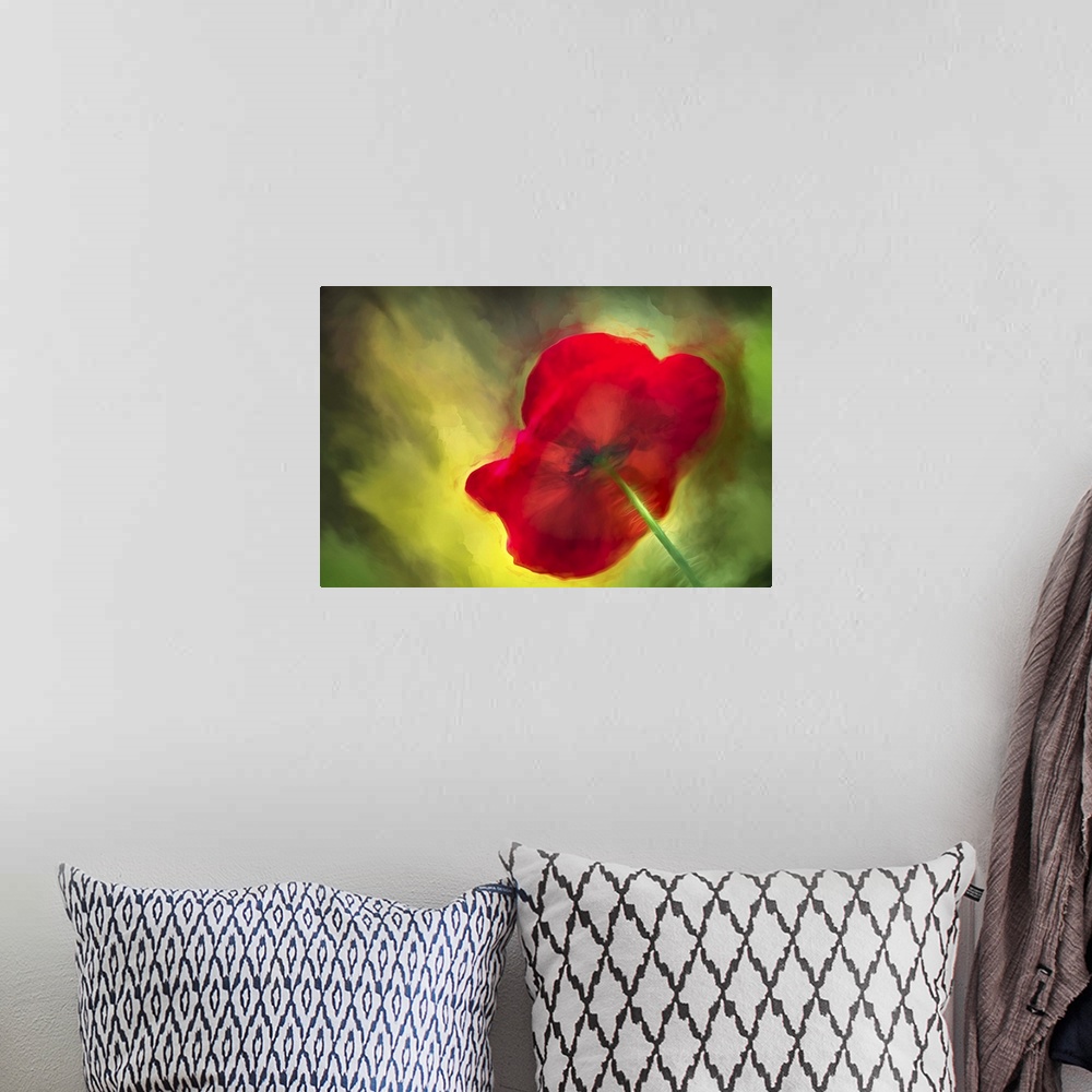 A bohemian room featuring An abstract macro photograph of a bright red vibrant flower against a green background.