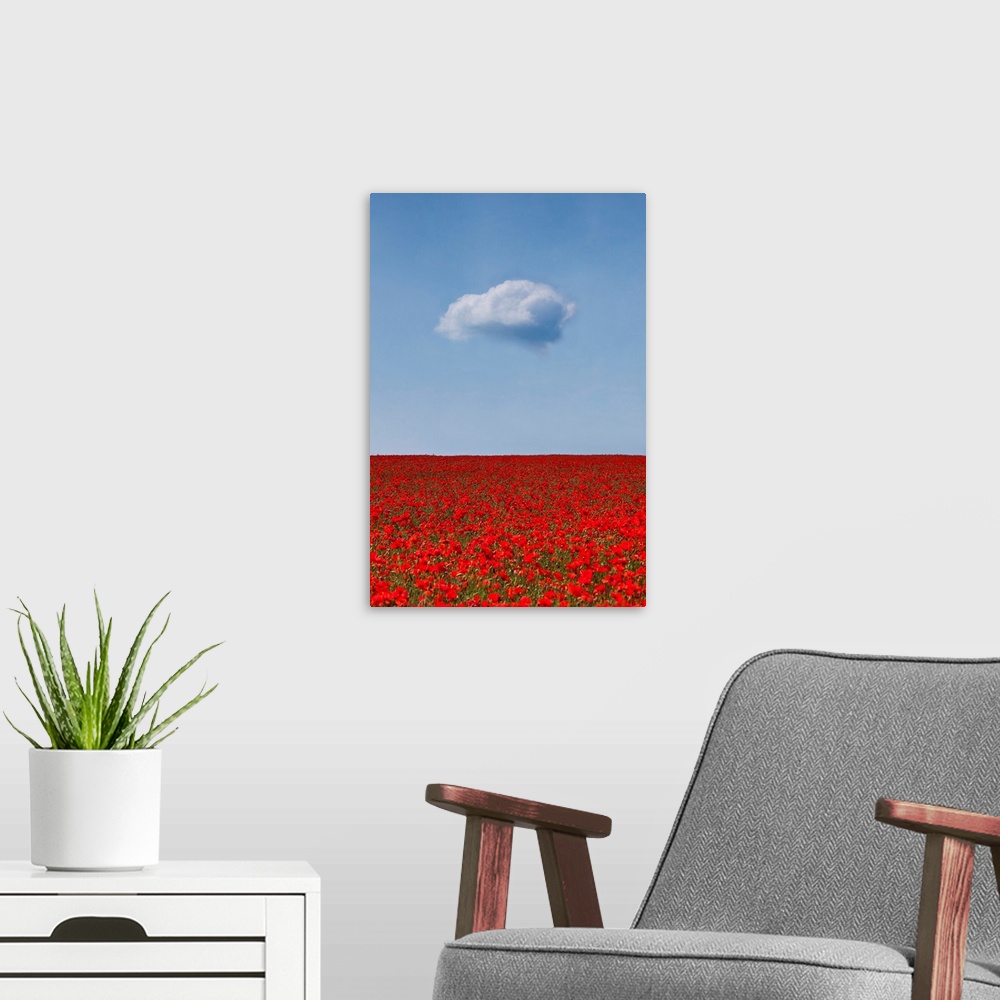 A modern room featuring A lone white fluffy cloud above a sea of deep crimson red poppies in a field beneath a blue sky.