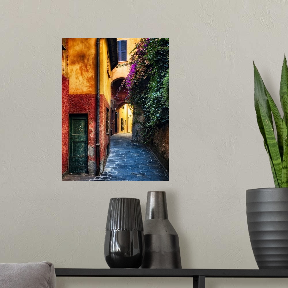 A modern room featuring Narrow Street with Bougainvillea Flowers, Portofino, Liguria, Italy