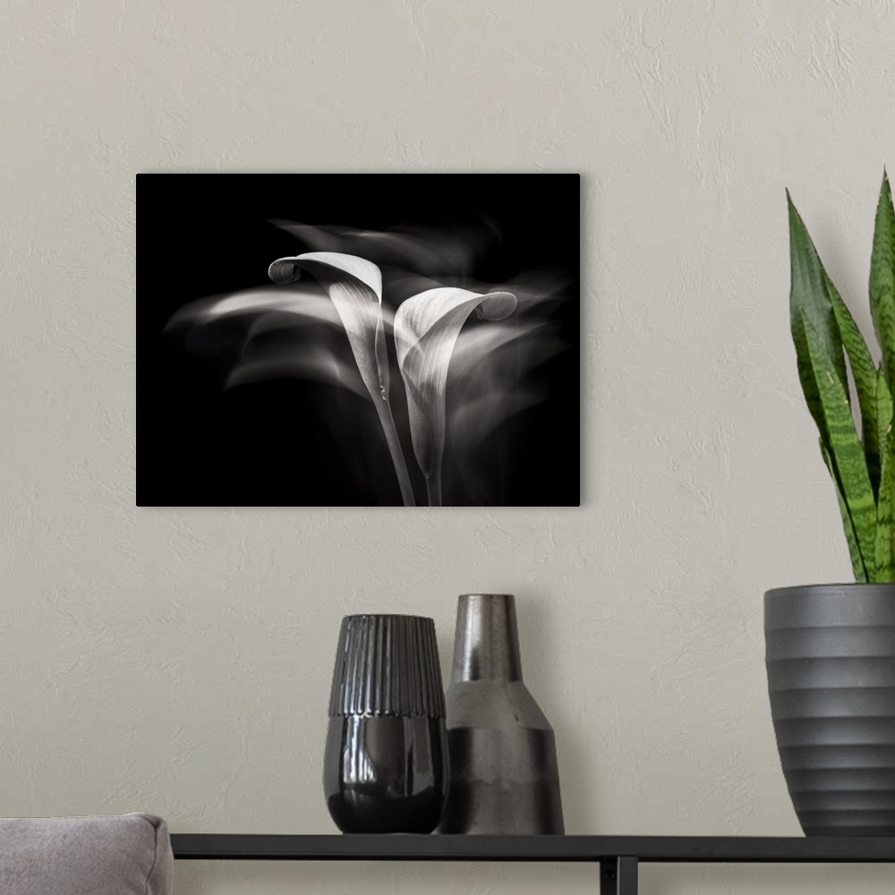 A modern room featuring Portrait Of A Flower V