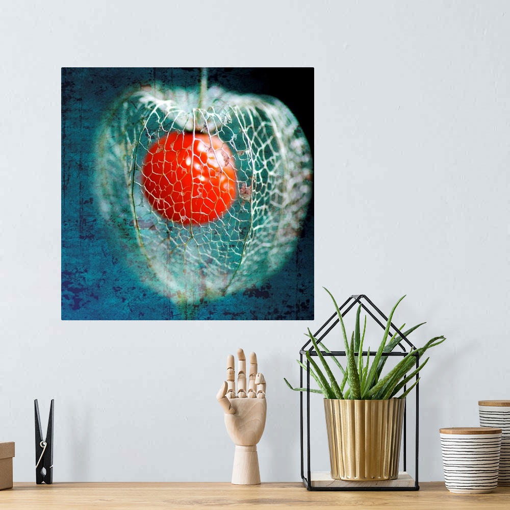 A bohemian room featuring Photograph of caged red ball with abstract background.