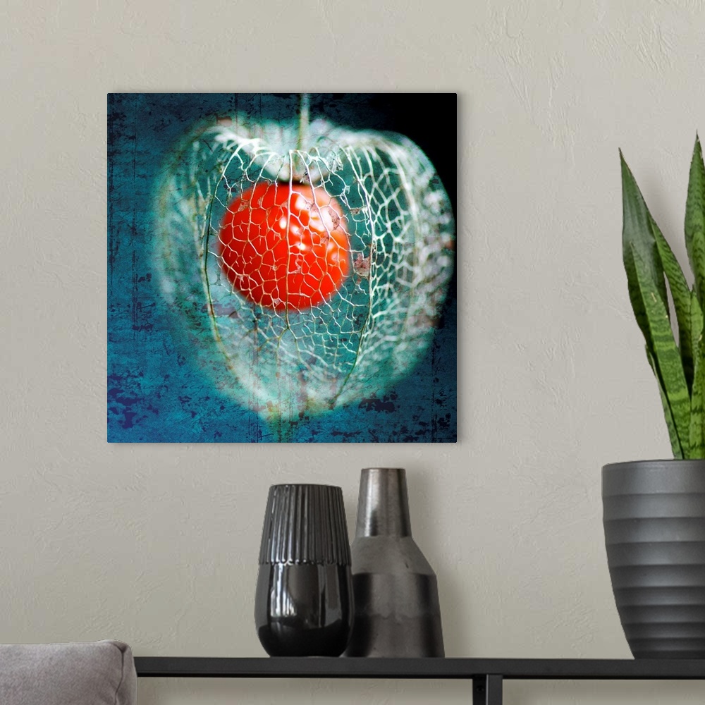 A modern room featuring Photograph of caged red ball with abstract background.