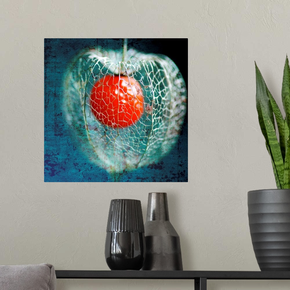 A modern room featuring Photograph of caged red ball with abstract background.