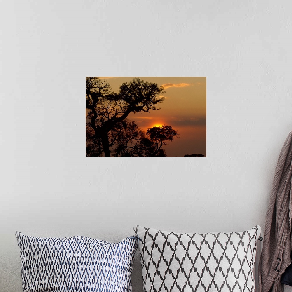 A bohemian room featuring Big, landscape photograph of the sunset silhouetting trees in the foreground, in Monteverde Cloud...