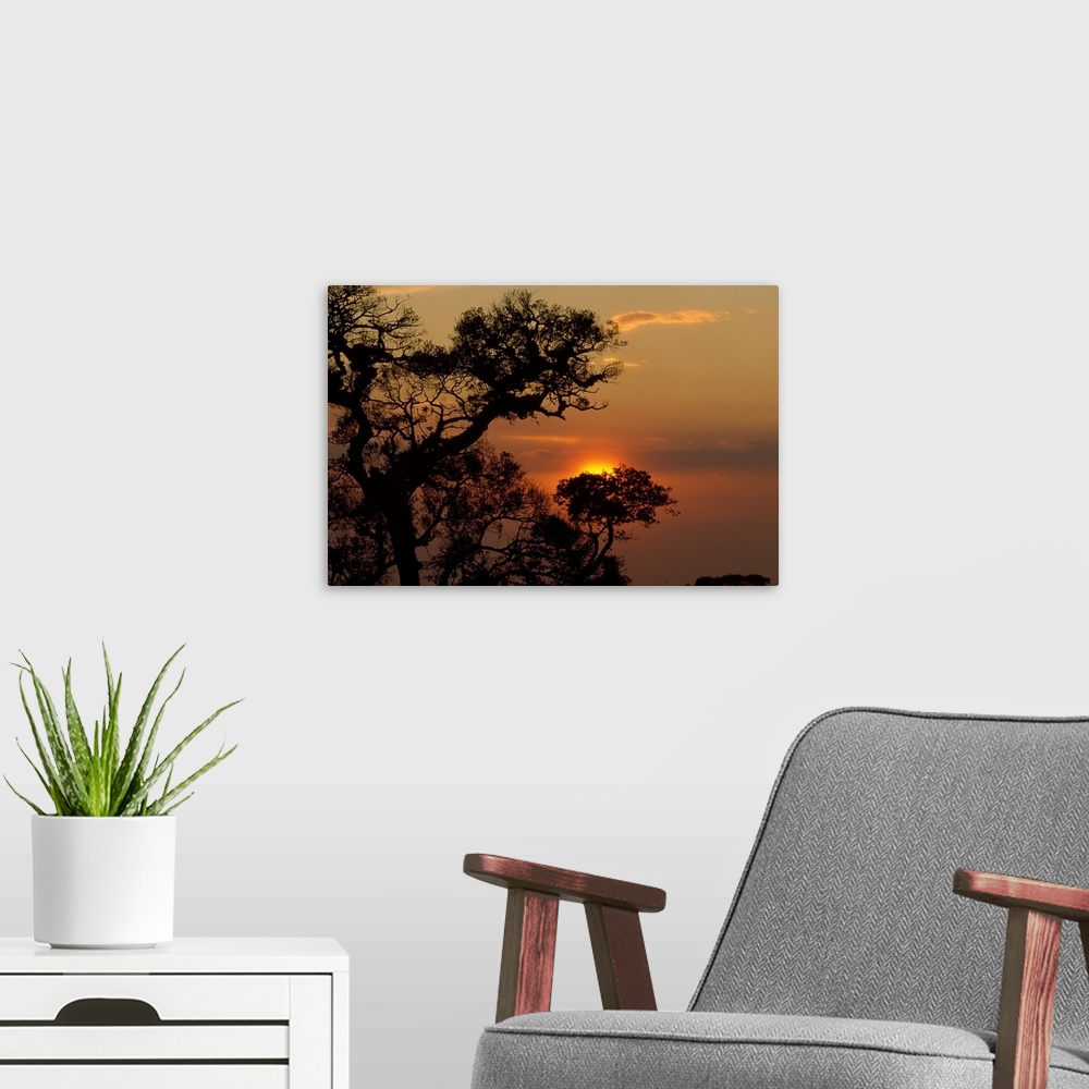 A modern room featuring Big, landscape photograph of the sunset silhouetting trees in the foreground, in Monteverde Cloud...