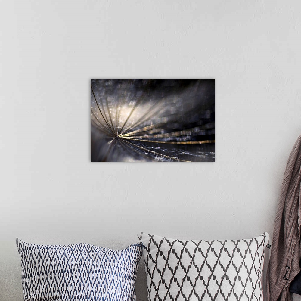 A bohemian room featuring Large photo on canvas of the up close view of a dandelion.