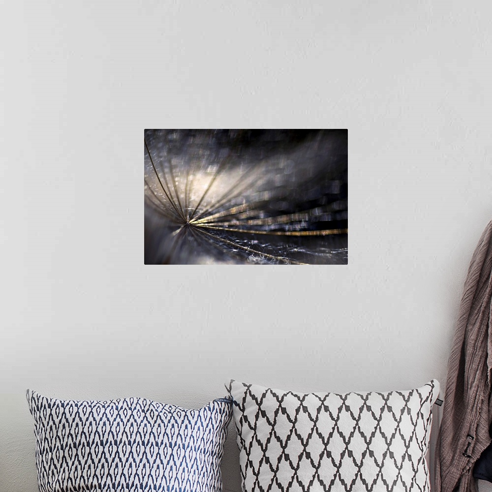 A bohemian room featuring Large photo on canvas of the up close view of a dandelion.