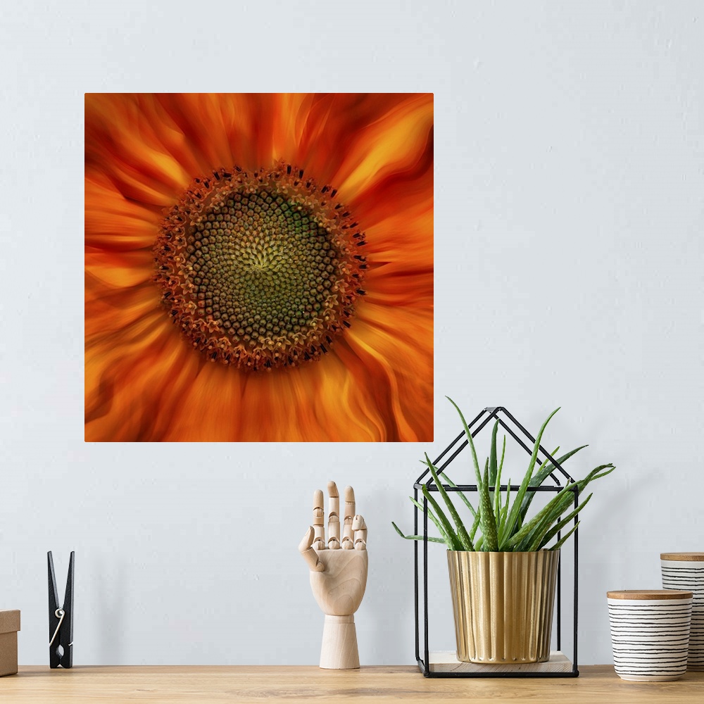 A bohemian room featuring Square photograph of a close-up center of an orange and yellow flower with dreamy, wavy petals th...