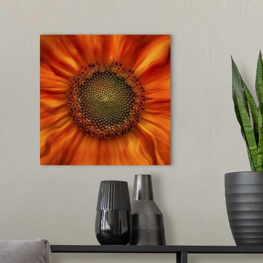 A modern room featuring Square photograph of a close-up center of an orange and yellow flower with dreamy, wavy petals th...