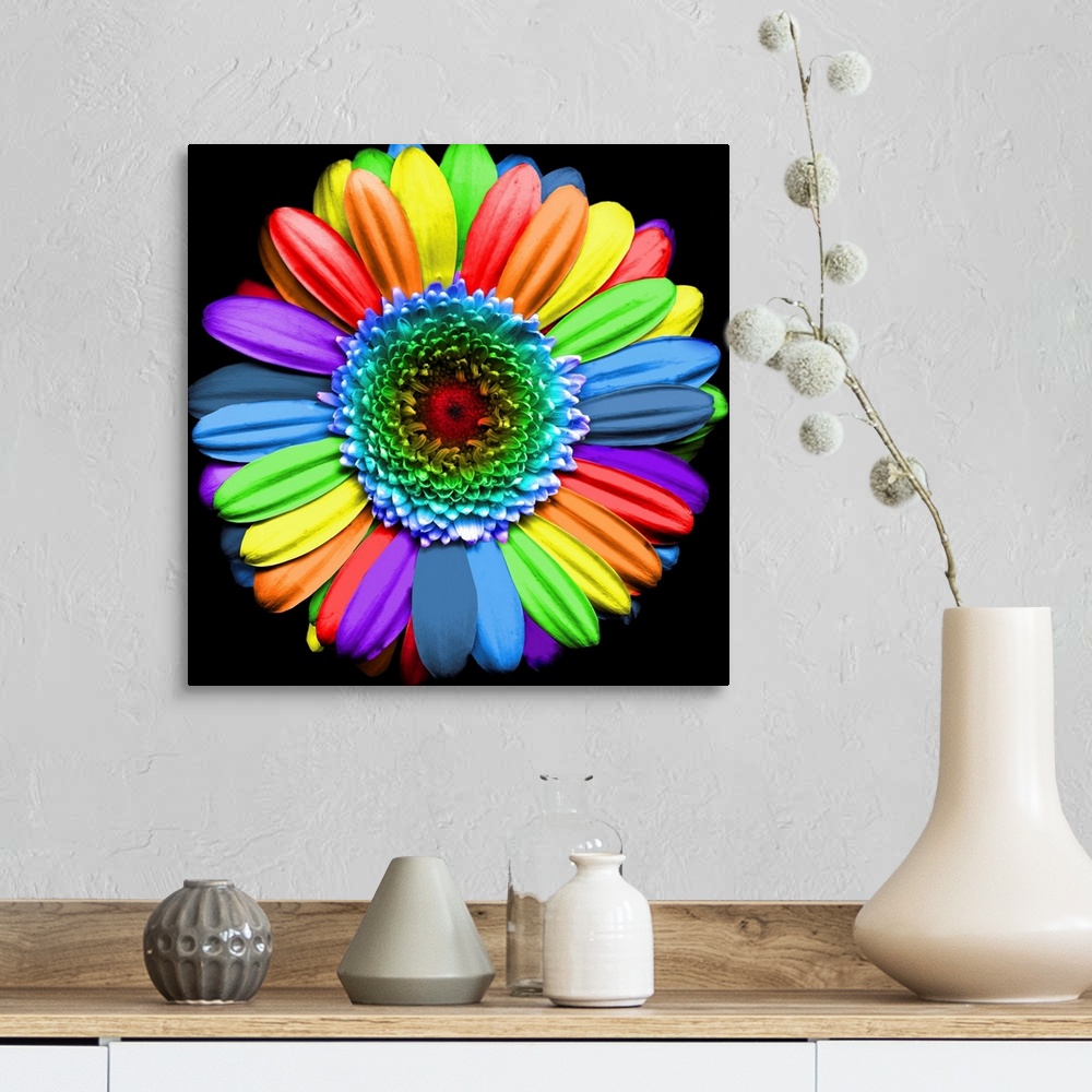 A farmhouse room featuring Rainbow flower - digital art based on a Gerbera flower.