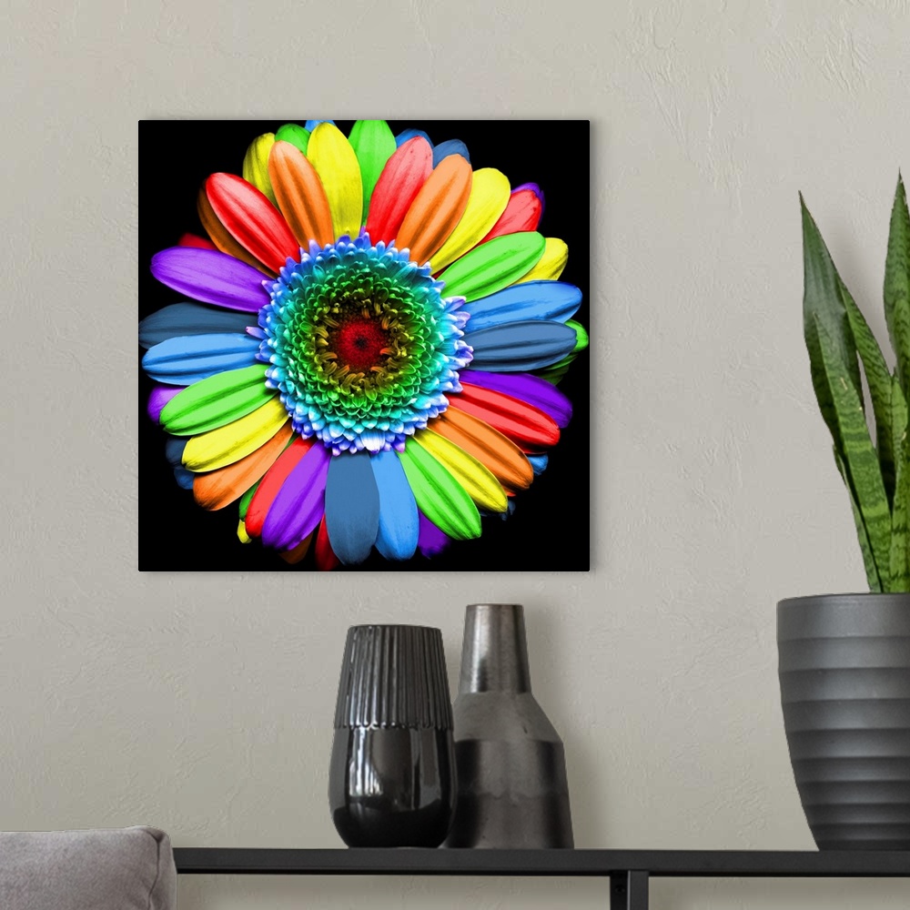 A modern room featuring Rainbow flower - digital art based on a Gerbera flower.