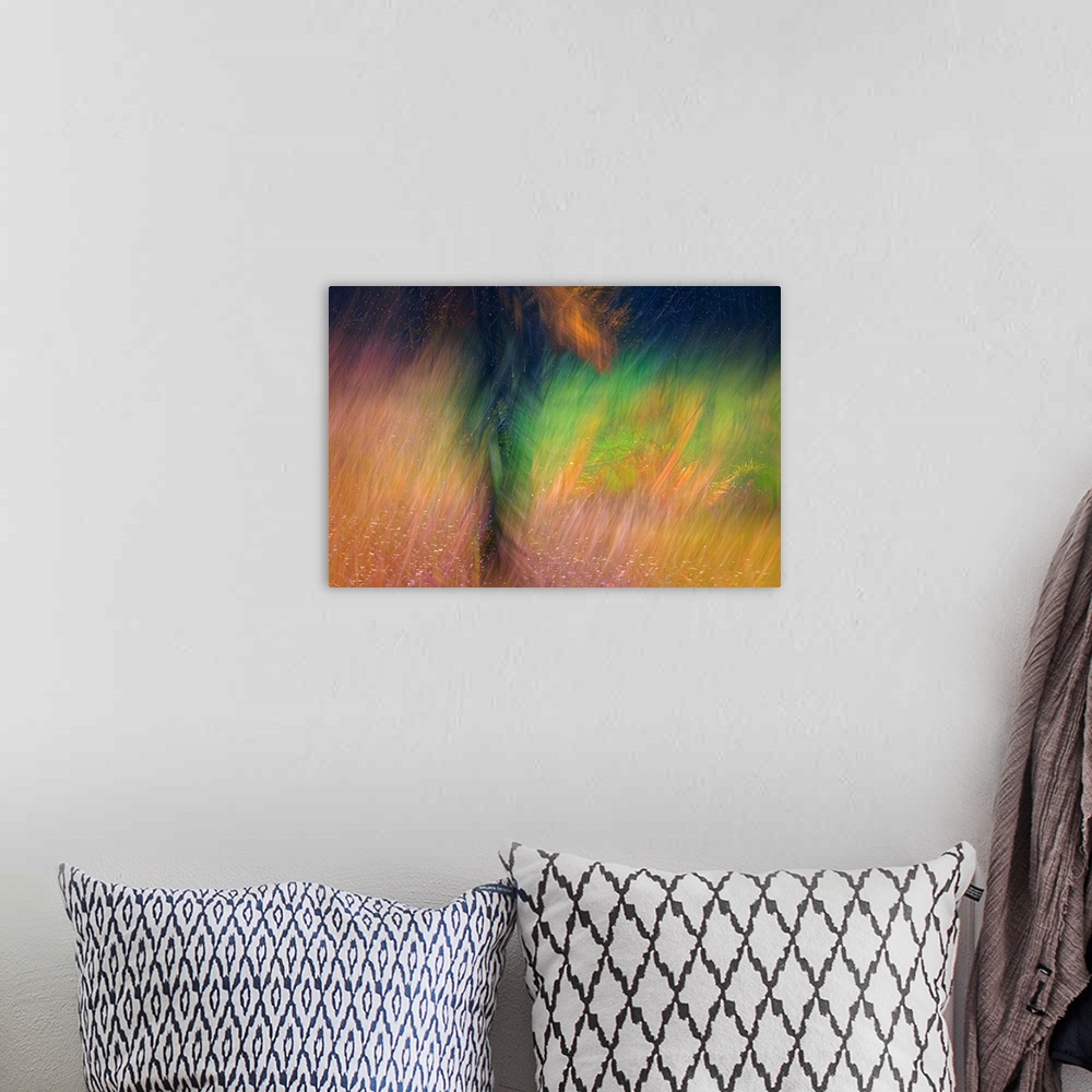 A bohemian room featuring Abstract image of a tree in Autumn right after a rain storm. The image was made using the in-came...