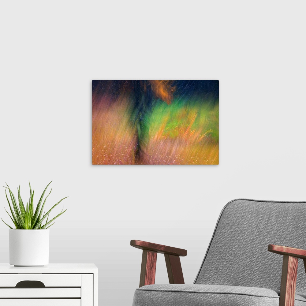 A modern room featuring Abstract image of a tree in Autumn right after a rain storm. The image was made using the in-came...