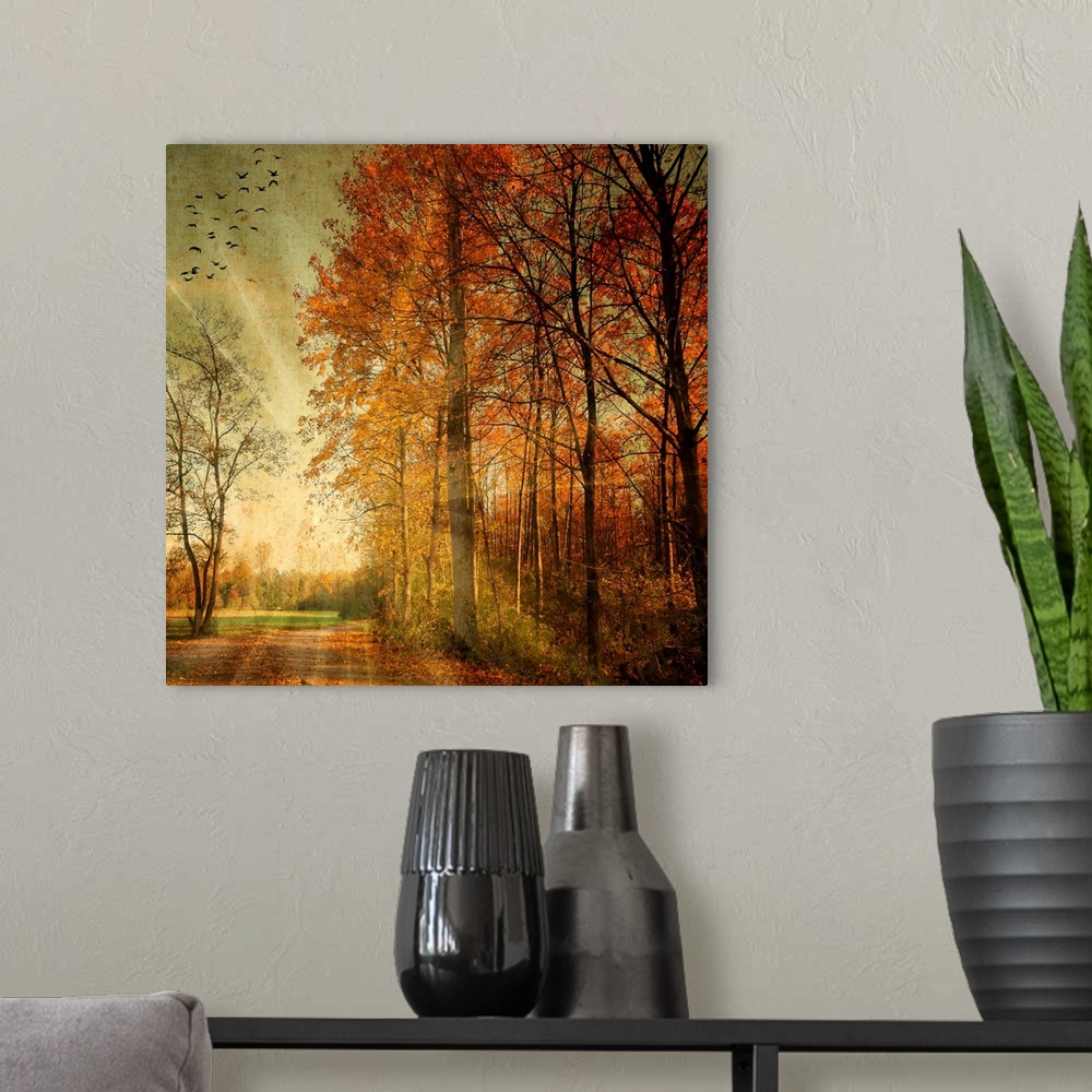 A modern room featuring Square fine art photograph on a large wall hanging of the setting suns rays shining through an au...