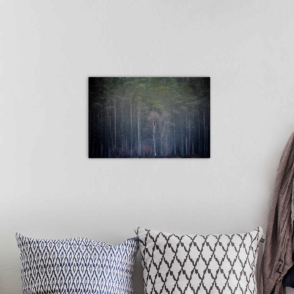 A bohemian room featuring A photo of the edge of a forest with tall trees reaching for the sky.