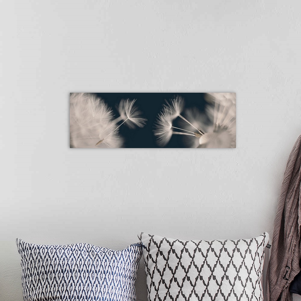 A bohemian room featuring Two images of seed placed together.