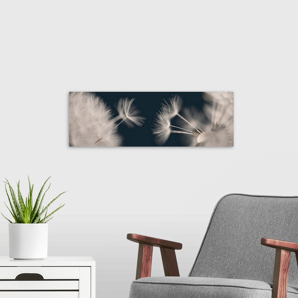 A modern room featuring Two images of seed placed together.