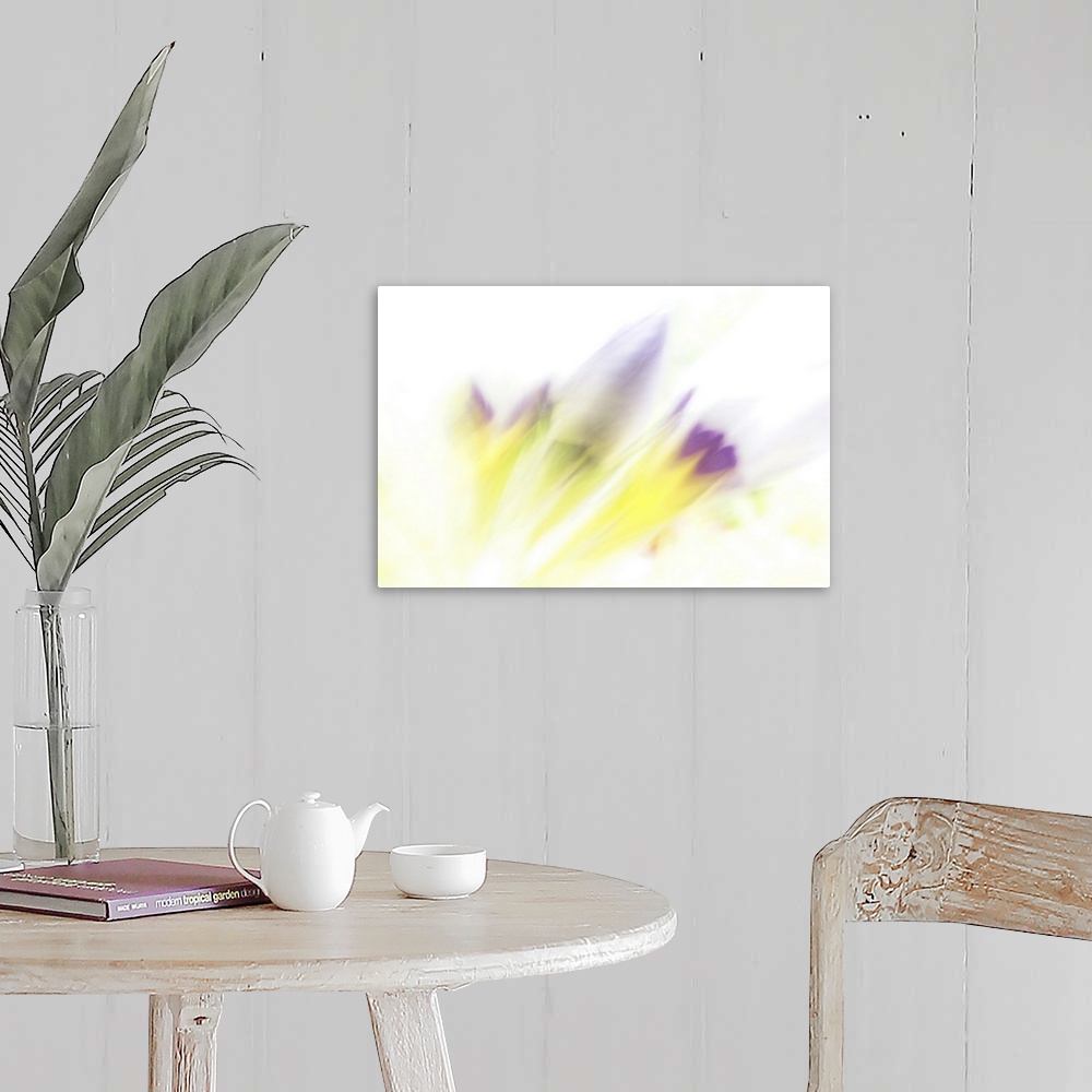 A farmhouse room featuring Artistically blurred wild flowers ready to bloom.