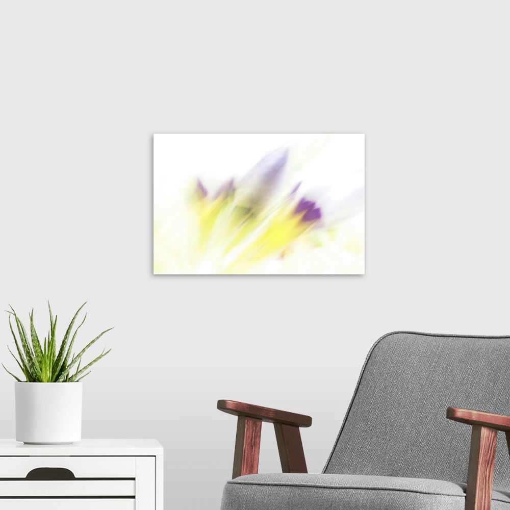 A modern room featuring Artistically blurred wild flowers ready to bloom.