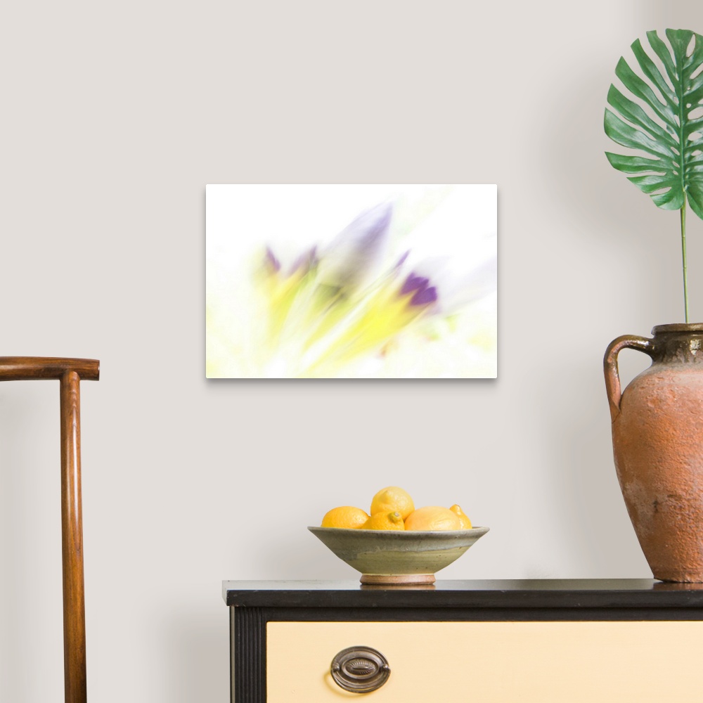 A traditional room featuring Artistically blurred wild flowers ready to bloom.