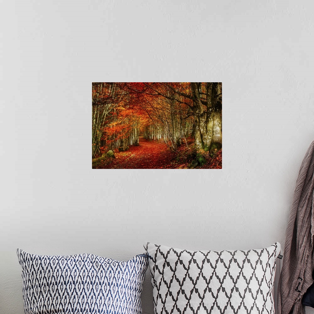 A bohemian room featuring Forest with red and orange fall leaves in the branches and covering the floor, appearing to glow.