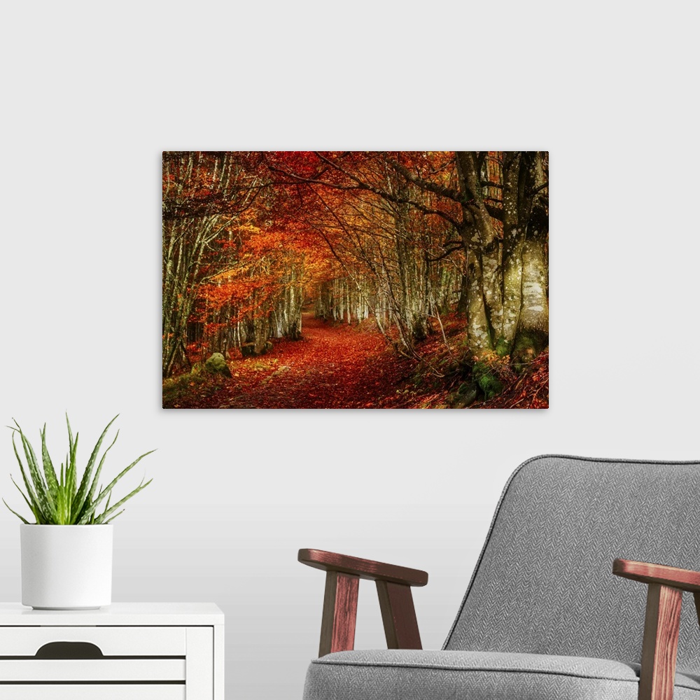 A modern room featuring Forest with red and orange fall leaves in the branches and covering the floor, appearing to glow.